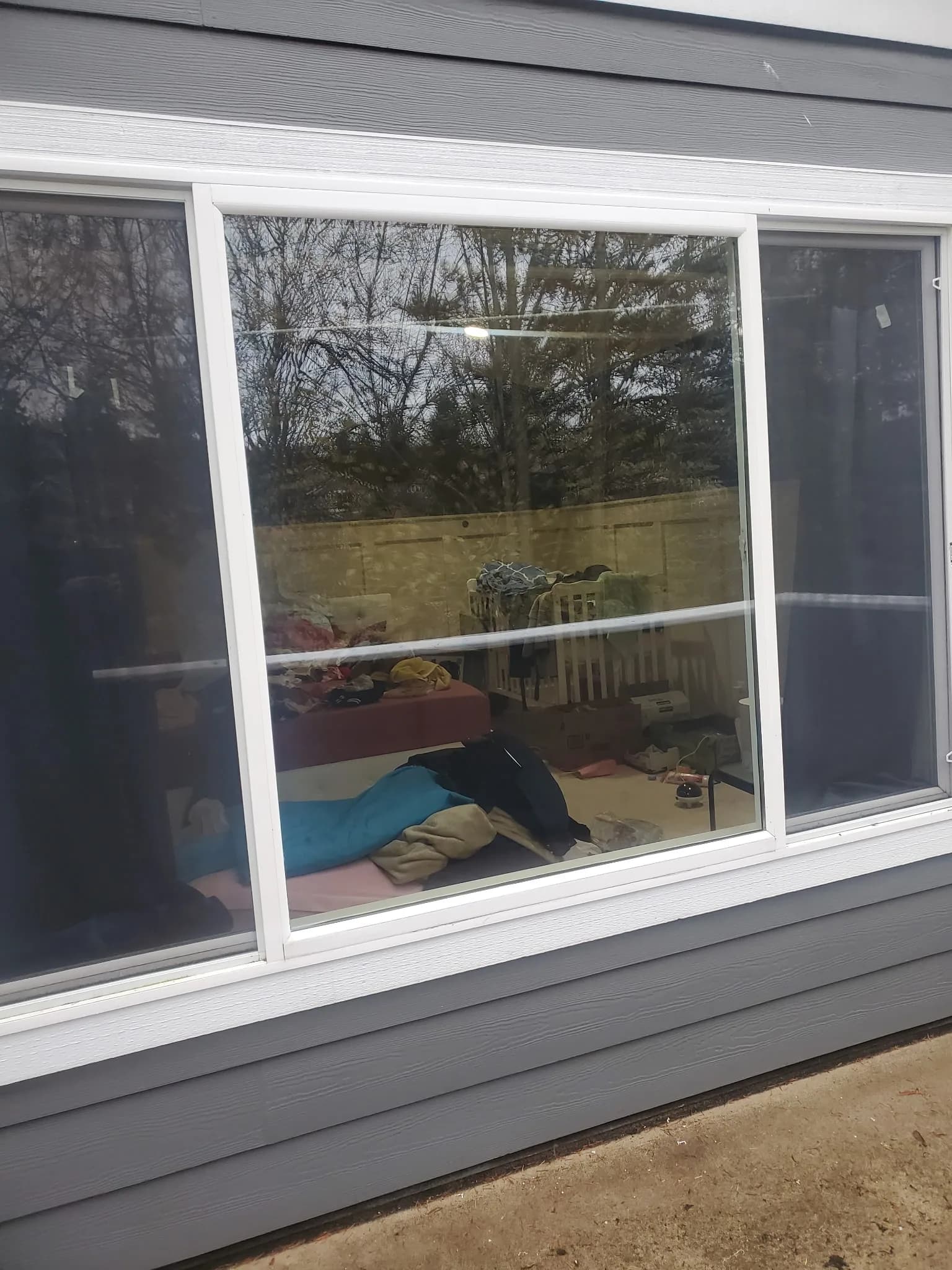 Wide residential sliding window with fresh glass overlooking a wooded yard